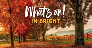 What's on in Bright Victoria Events Festival Sport, Accommodation and Camping in Bright Victoria